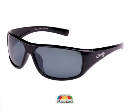 Choppers Tinted Lens Polarized Sunglasses CHOP404PP