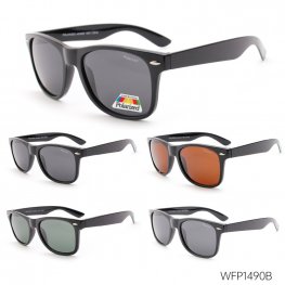Cooleyes Classic Fashion Polarized Sunglasses 2 Size Assaot. WFP1490/91B